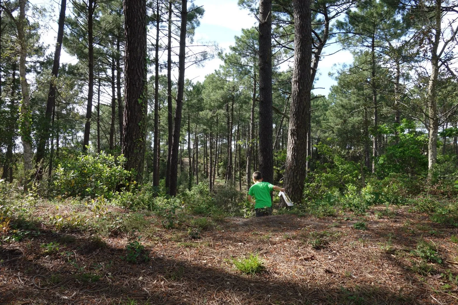 Parcours d'orientation pour enfants à Messanges, landes