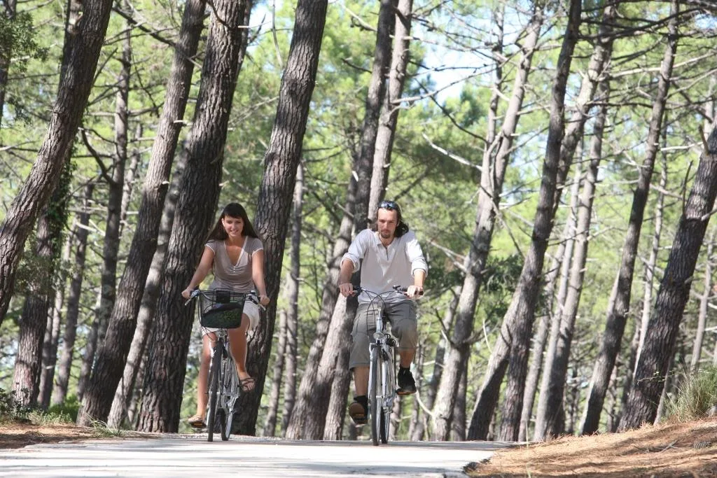 Vélo dans la forêt landaise
