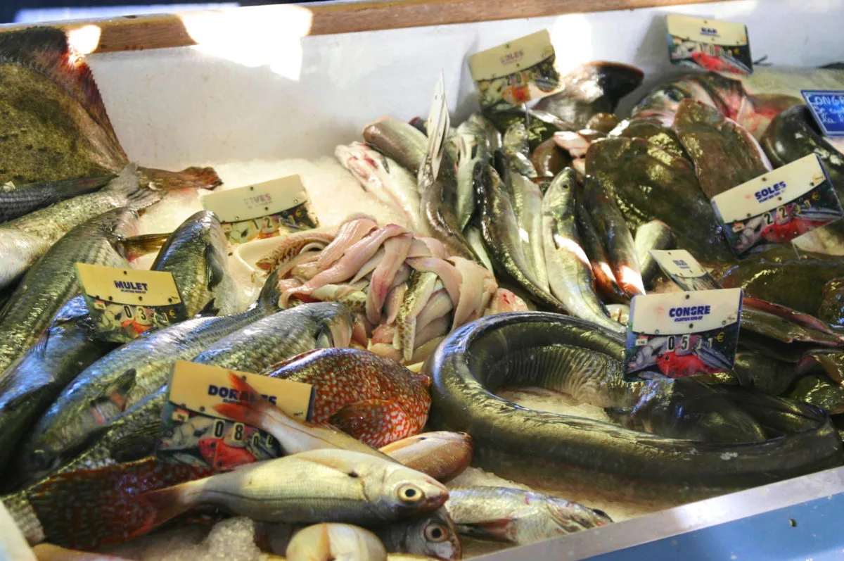 Marché aux poissons de Capbreton (Landes)