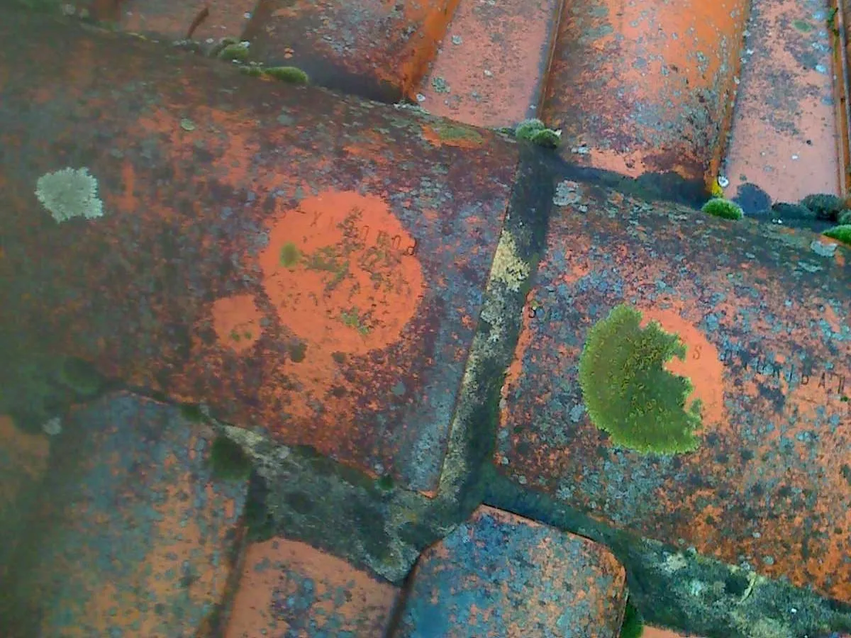 –Hossegor-Vacances-Tranquilles-2016–2-