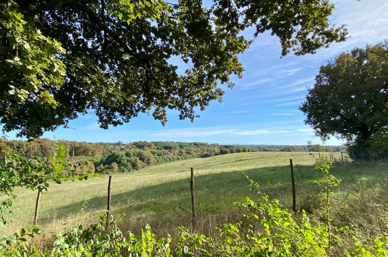 (18) 2025 – BETB – Domaine de Bourgade – Extérieurs – ©Mme COLIER Corinne