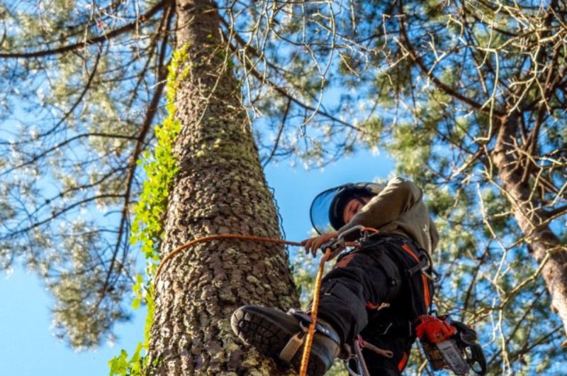 redim photo site et montages – 2