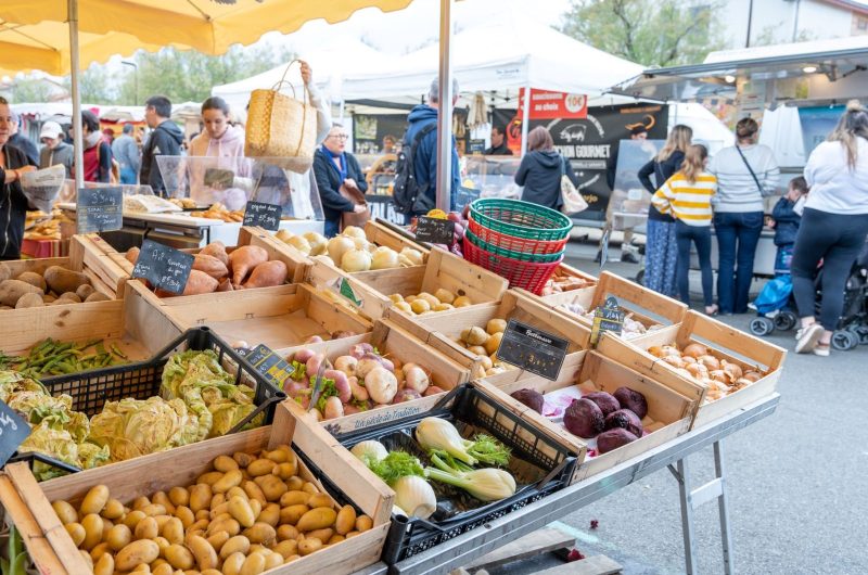 ©LandesAtlantiqueSud-