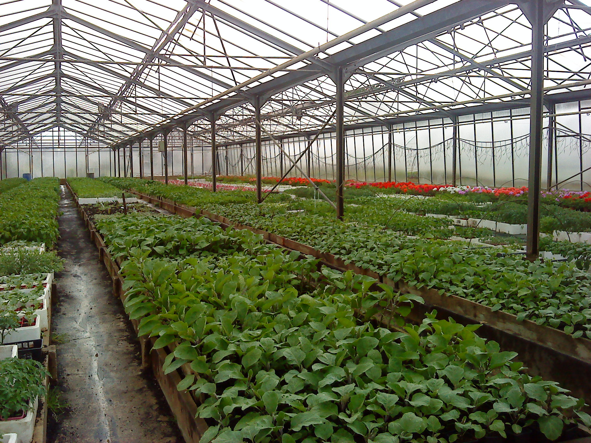 ©Laplace Joésphine-Laplace Christian-photo 1