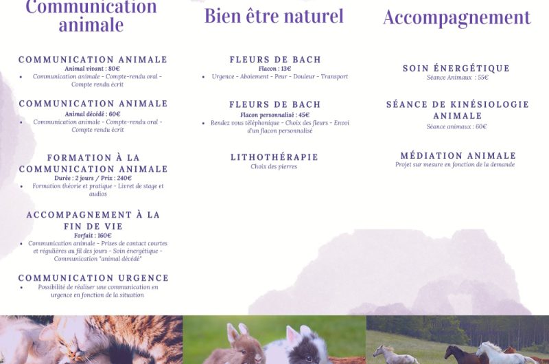 Tangerine Floral Wedding Trifold Brochure – 2