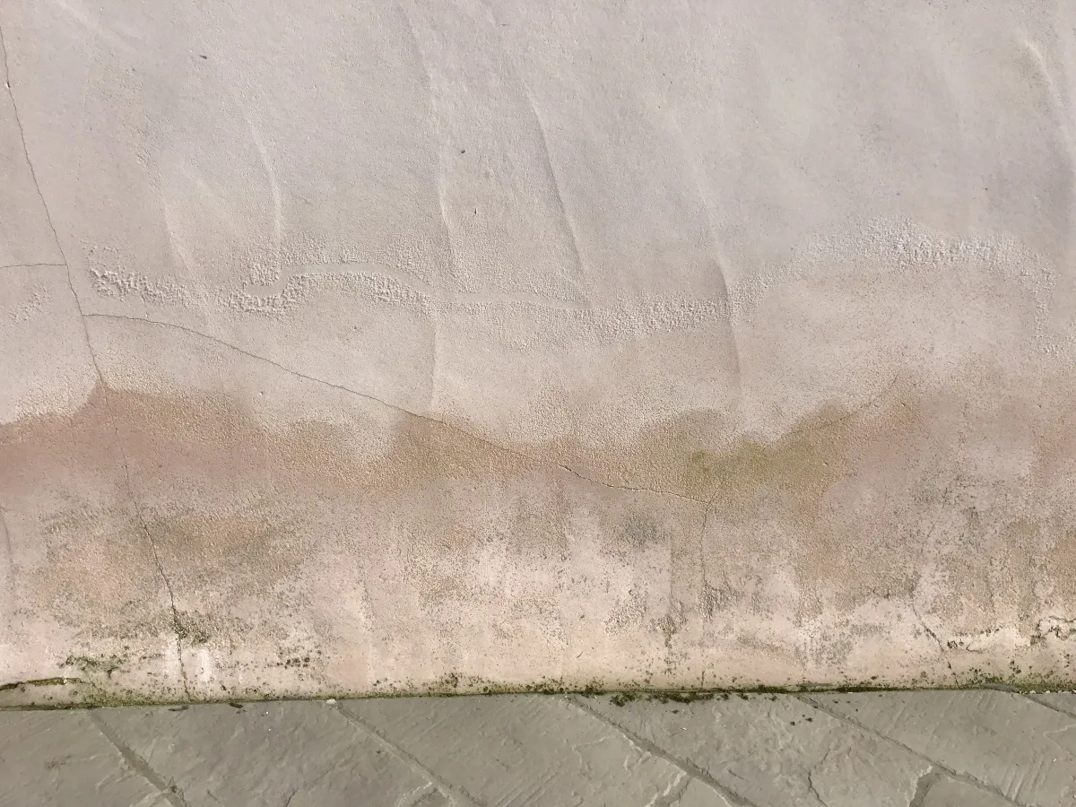 -Neoprotek-2017–7-