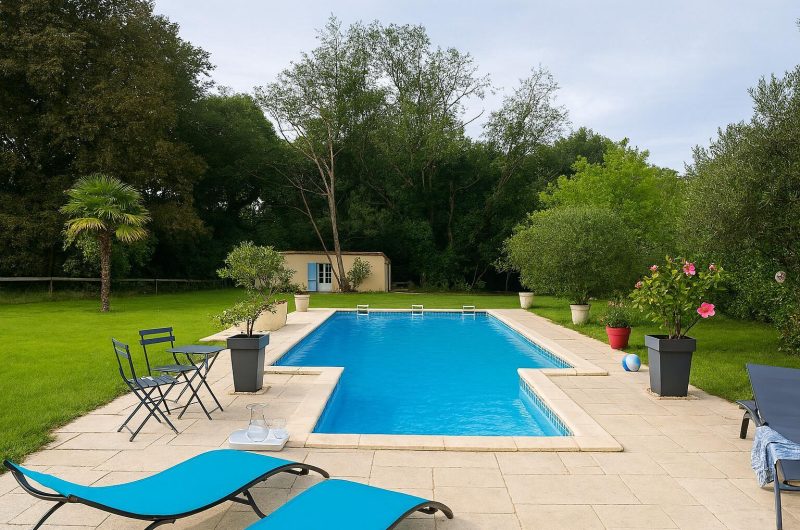 -goos-les-tournesols-adour-chalosse-tursan–ref–20484