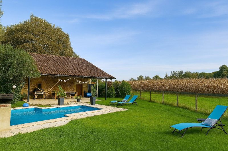 -goos-les-tournesols-adour-chalosse-tursan–ref–204842