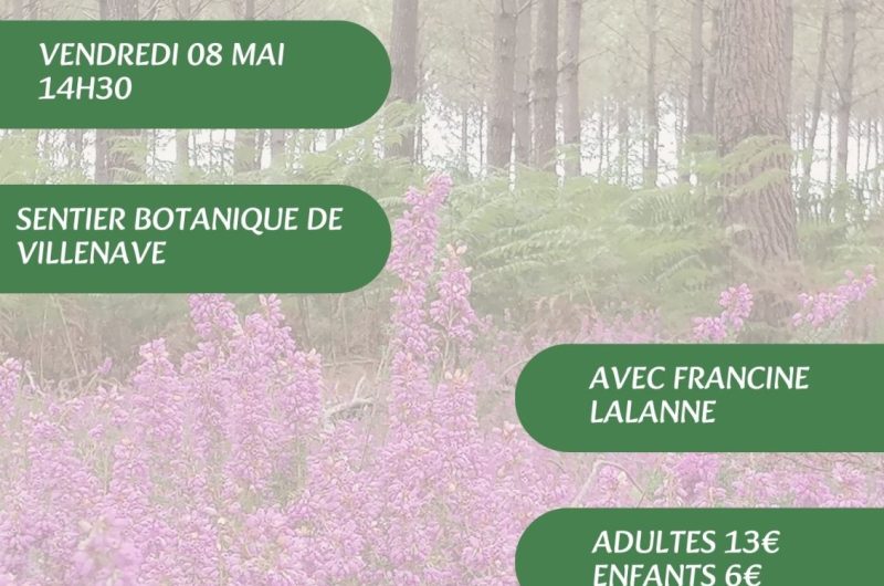 Visites, balades de l’OT – 4