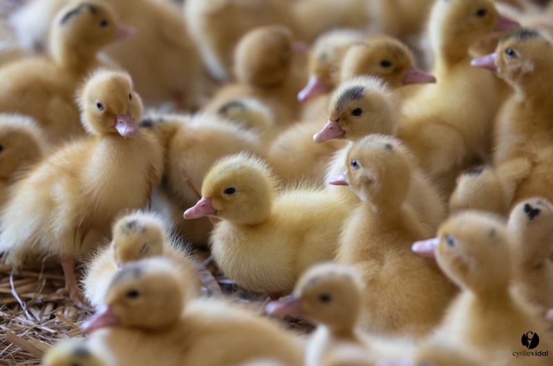 0a0792f3-6667-454e-b5d4-a6b3892b6b20