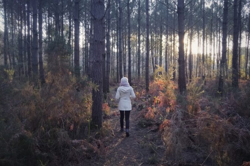 10-Aici Hemen_Soustons_OTILAS