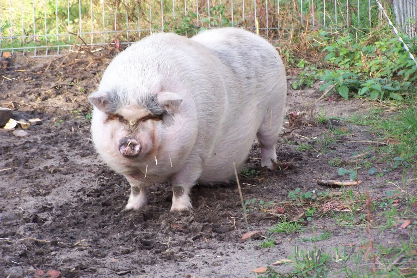 10353298_338699189614297_600632640371427121_o