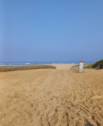 112 Morin_Moliets_Landes Atlantique Sud