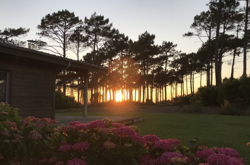 115 La Villa du Courant_Moliets_Landes Atlantique Sud