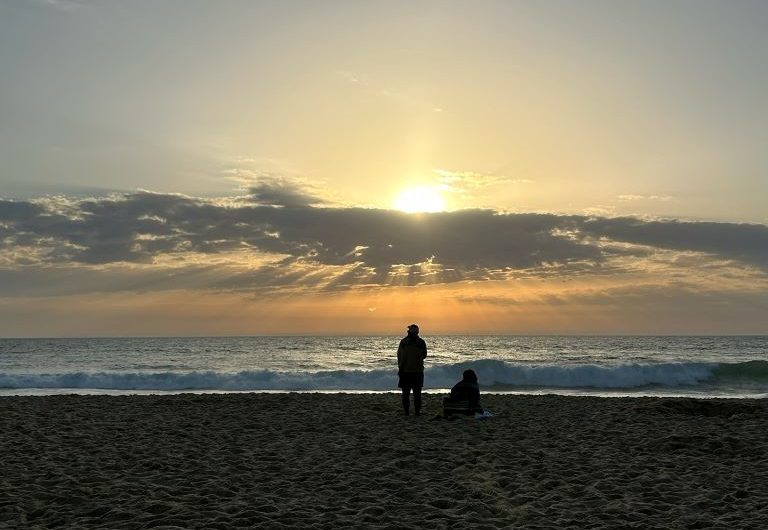 115 Lestrade_Messanges_Landes Atlantique Sud