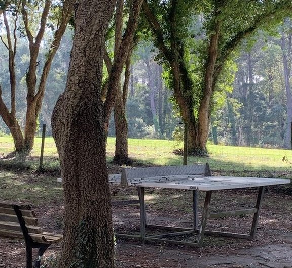 117 L’escale Océane_Moliets_Landes Atlantique Sud