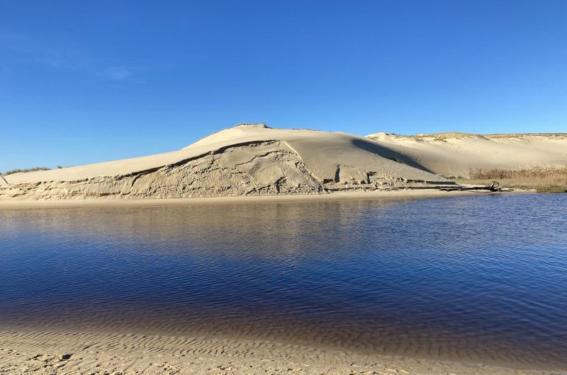 118 Villa 930-EMI_Moliets_Landes Atlantique Sud