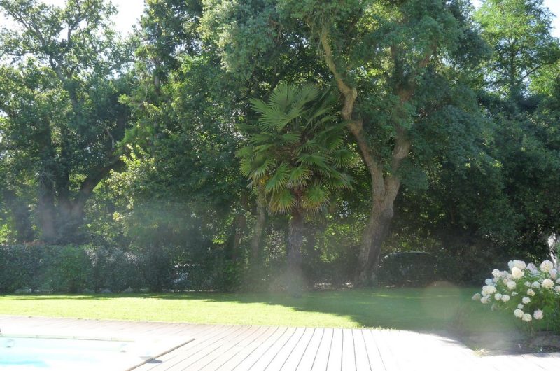 118_Villa du Coy_Messanges_Landes Atlantique Sud