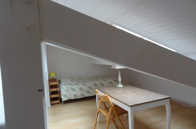 119 Maison Agapanthe_Moliets_Landes Atlantique Sud