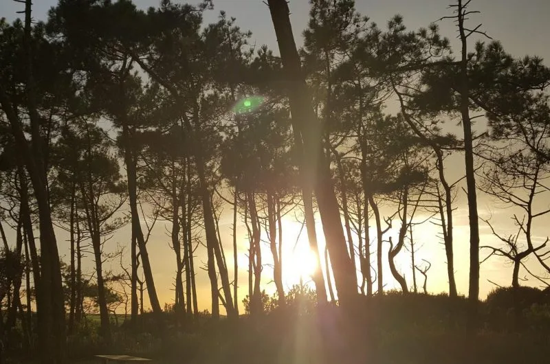 119-appartement-sylvia-moliets-bnb1-HLOAQU040V50NM9V-size2048