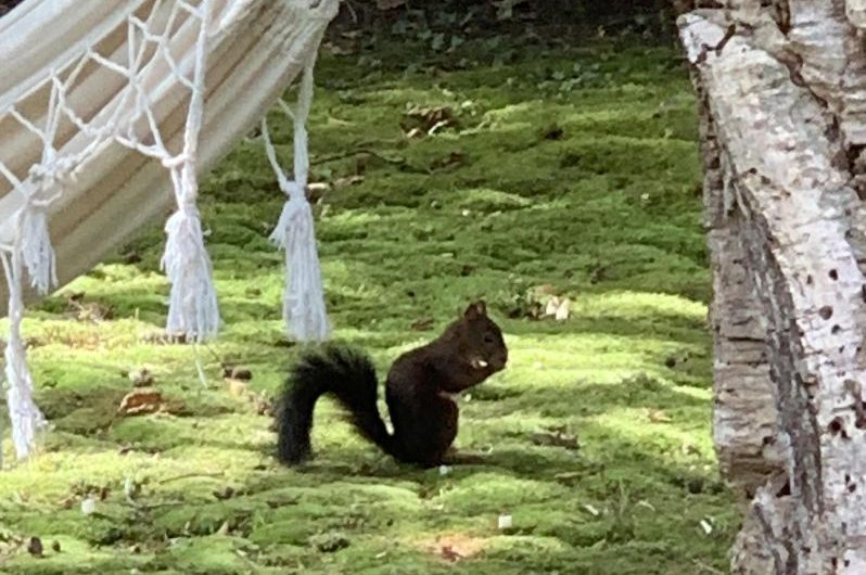 121-lavagueverte-vieuxboucau-bnb1-HLOAQU040V512TBN-size2048