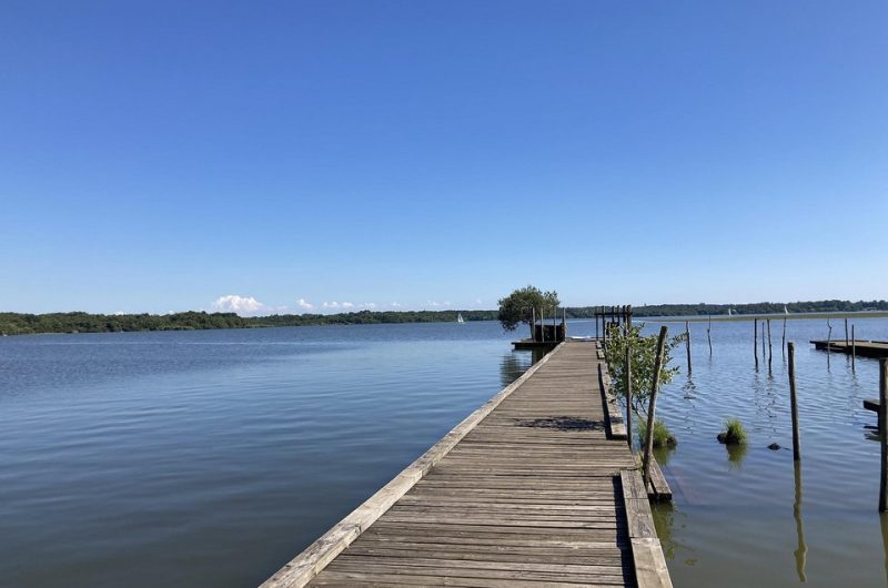 123 120 Villa Marcassin – Domaine de Branouns_Messanges_Landes Atlantique Sud