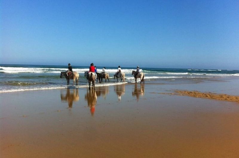 123 L’Océan des Landes_Messanges_Landes Atlantique Sud