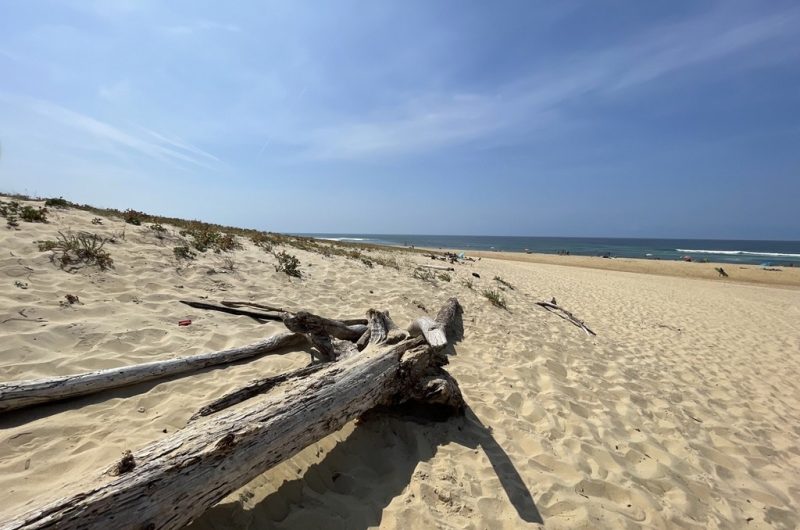 131 Filloux_Moliets_Landes Atlantique Sud