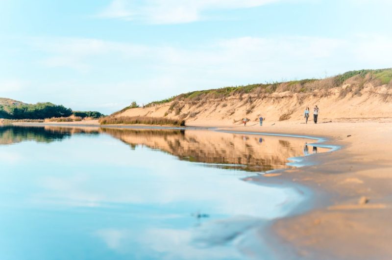 14122022©LandesAtlantiqueSud-4-2