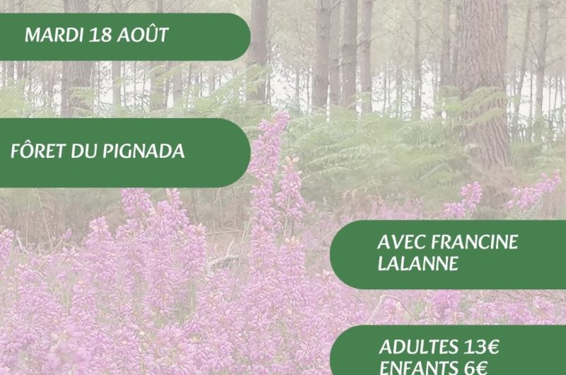 Visites, balades de l’OT – 10