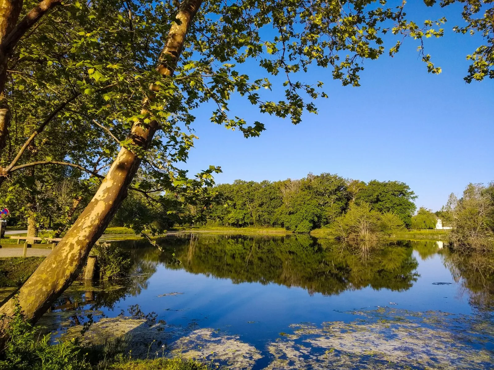 Etang et tant…