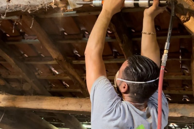 2 -Photo buchage  pour traitement antiparasitaire