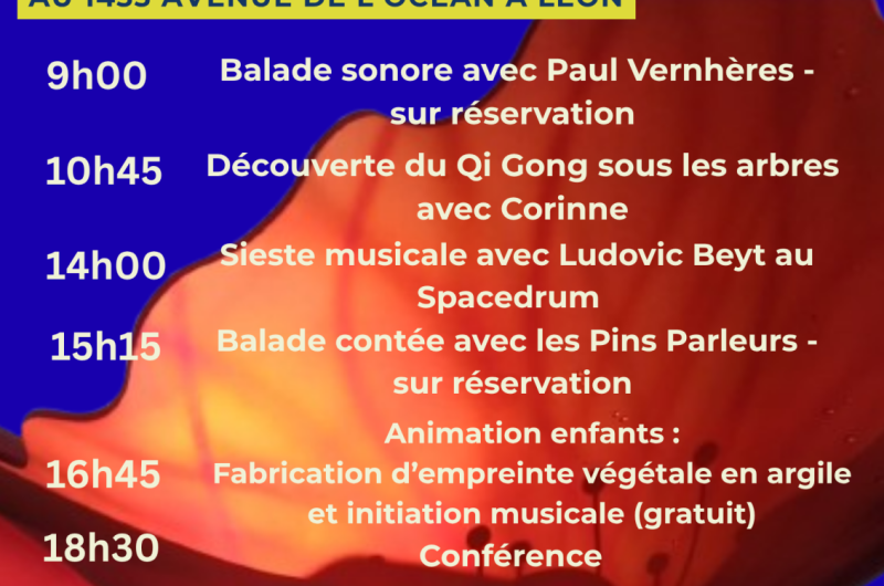 Affiche événement feu de la Saint-Jean illustration – 2