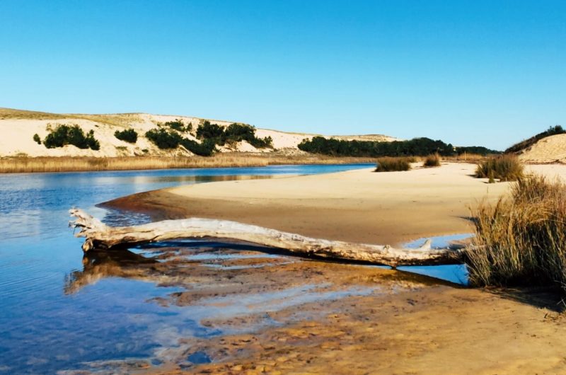 2-Aici Hemen_Soustons_OTILAS