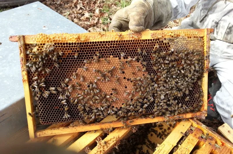 20150309-144035-1458813c8ffa441297b1cfe41770e754