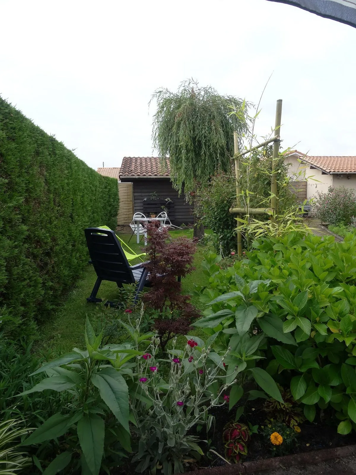 2018 – PEYRELONGUE (2)