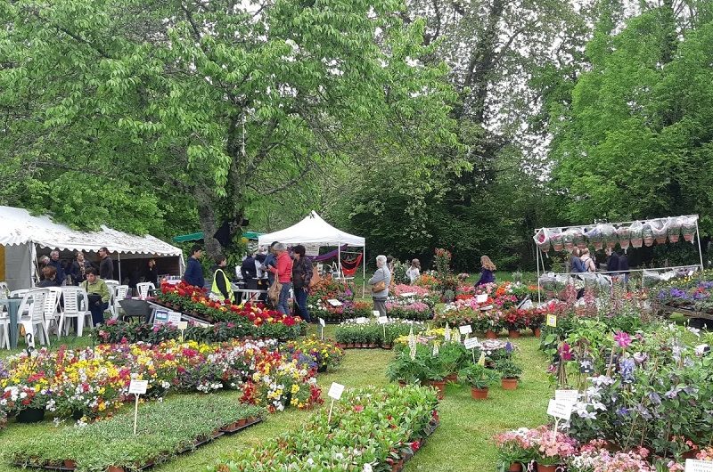 20180505-111147-1200×900