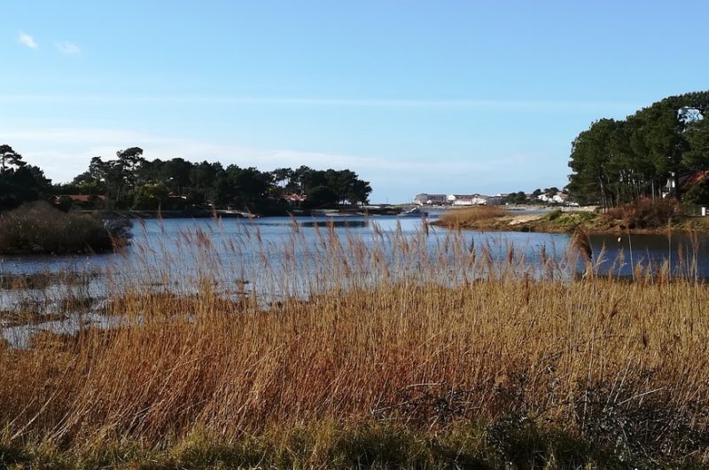 A Mimizan Plage, Sentier des Aigrettes