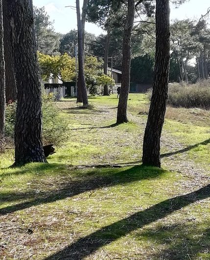 A Mimizan Plage, Sentier des Aigrettes