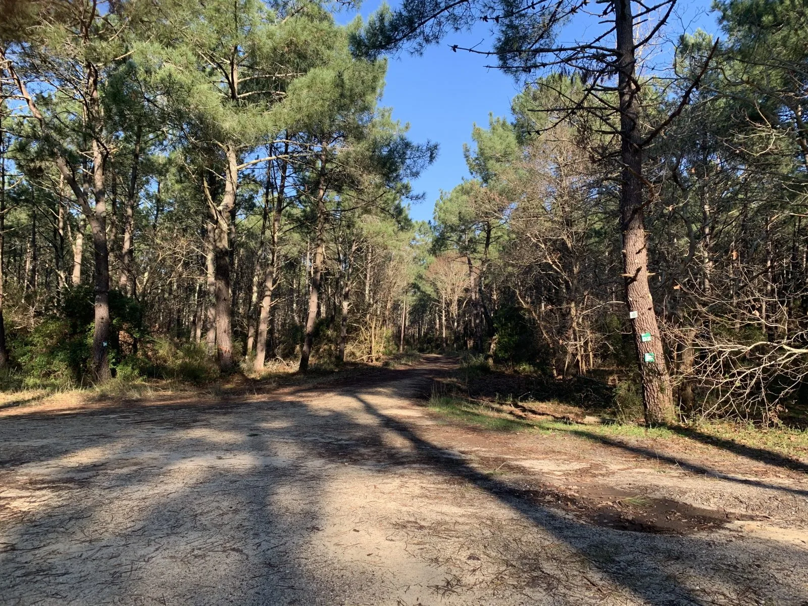 6-Sentier rando entre lac et forêt