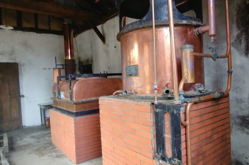 2020-LABA-Domaine Jaurrey Laberdolive Armagnac-Alambic©OTLandes d’Armagnac-EC (1)