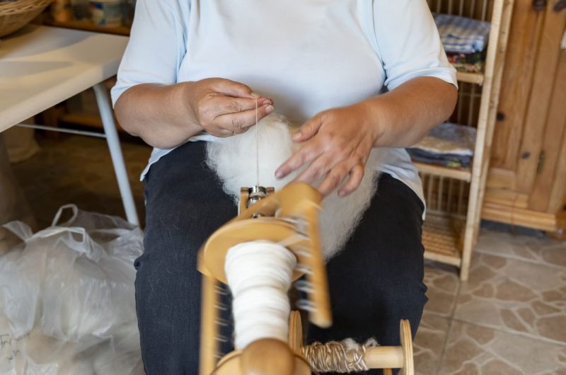 2022 – BOUR – Ferme Le Hillot – ©Midi Prod (5)