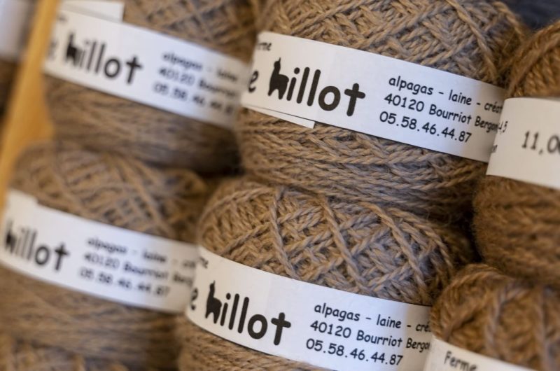 2022 – BOUR – Ferme Le Hillot – ©Midi Prod (6)