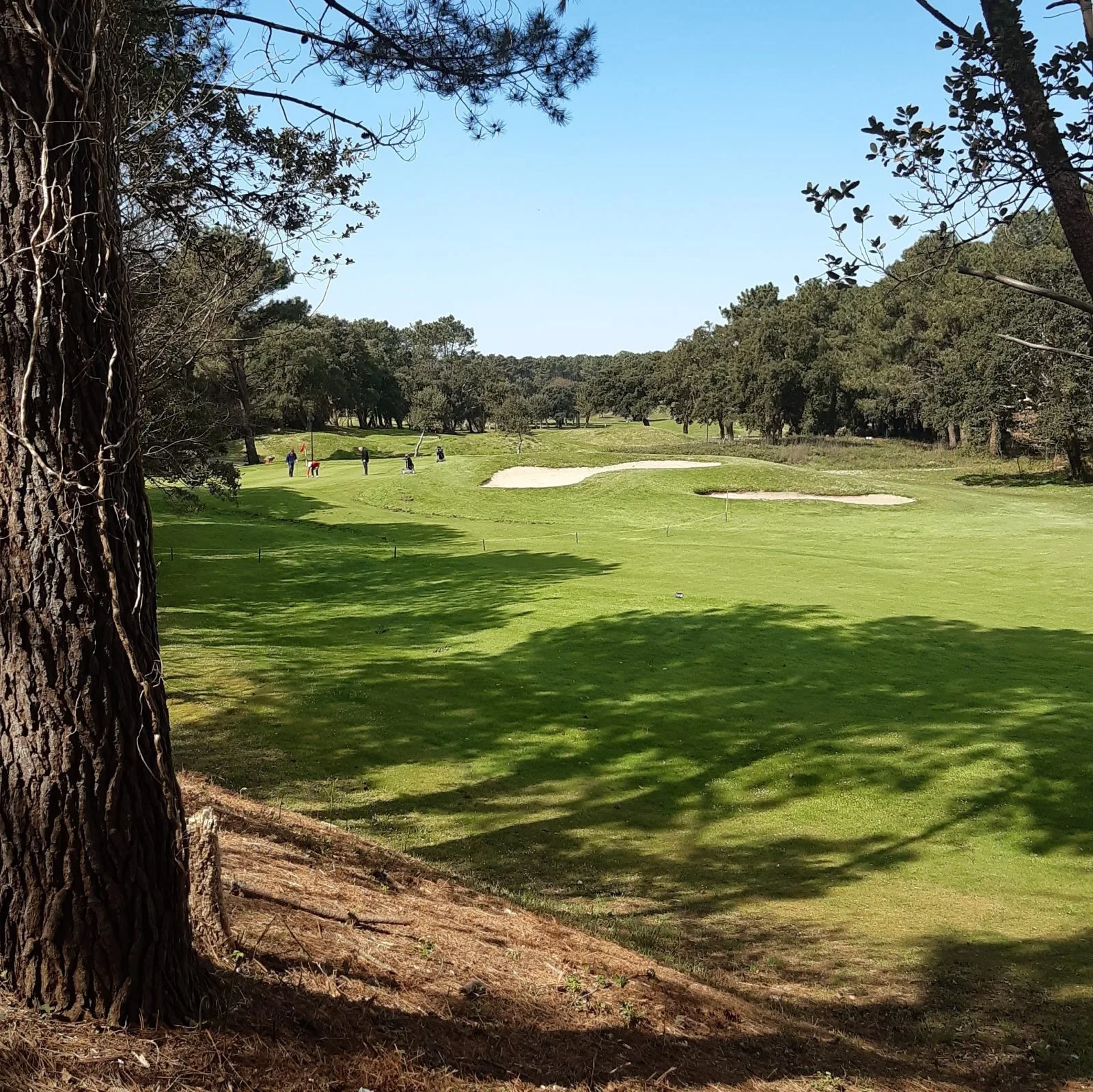 20220403_122239 (2)-rec-op