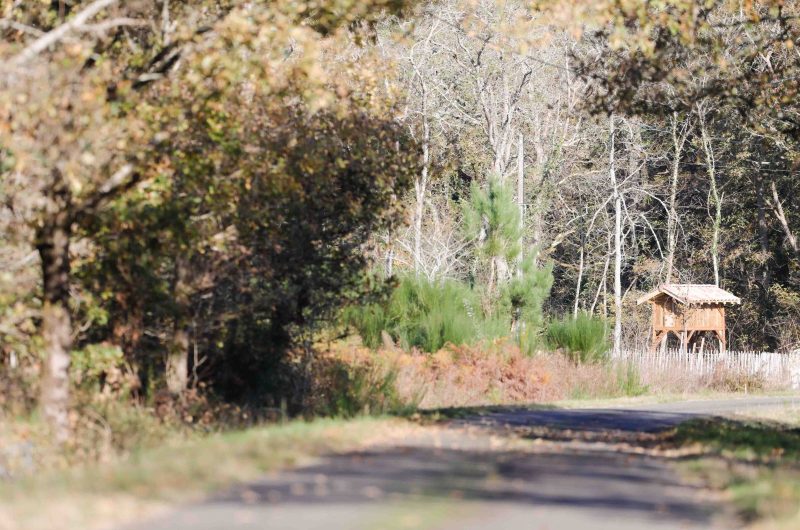 2023 – CACH – Gîte Prébendéron – Extérieur poulailler – ©Joackim di Dio (2)