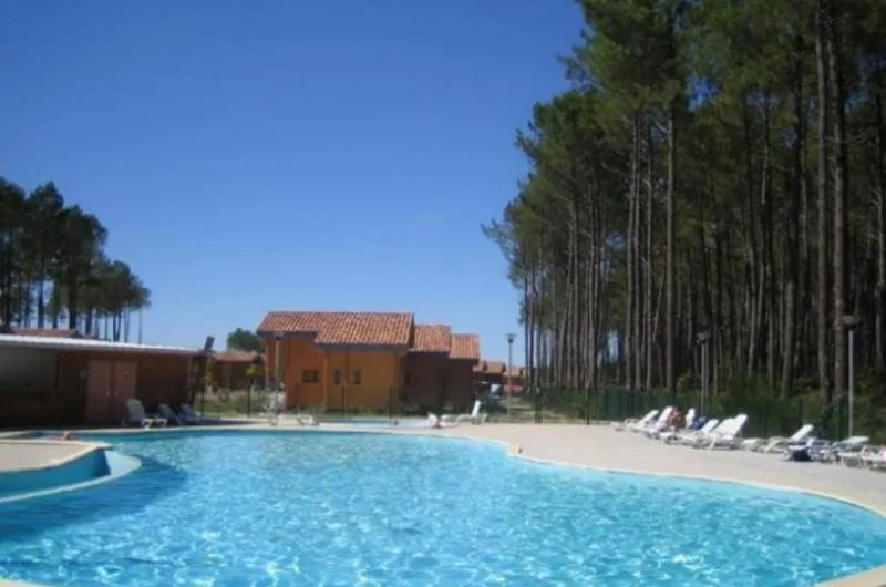 2023_baluhet (2) (Copier)