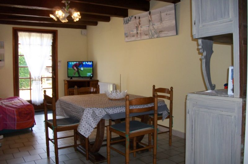 2023_cugnet_ecureuil (6) (Copier)