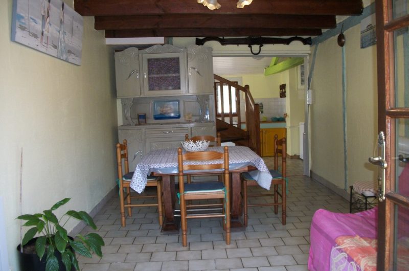 2023_cugnet_ecureuil (7) (Copier)