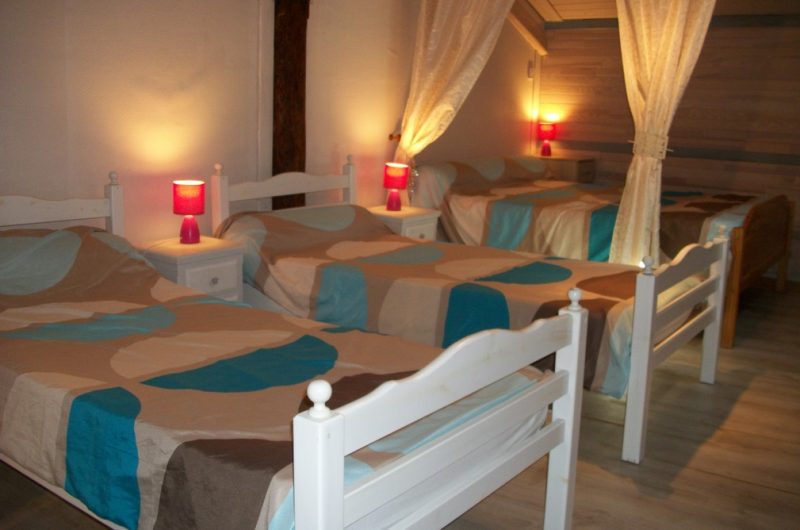 2023_cugnet_ecureuil (8) (Copier)