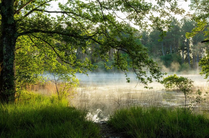 2024 – ARUE – Lagunes de Nabias – ©Arnaud Späni (49)
